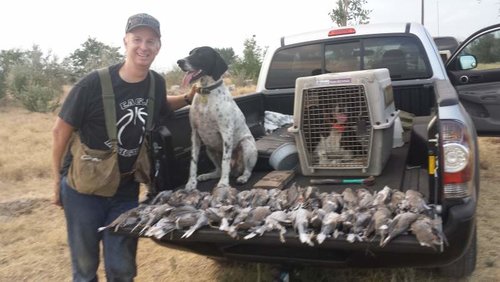 Birds SON!!.jpg Birds SON!!.jpg