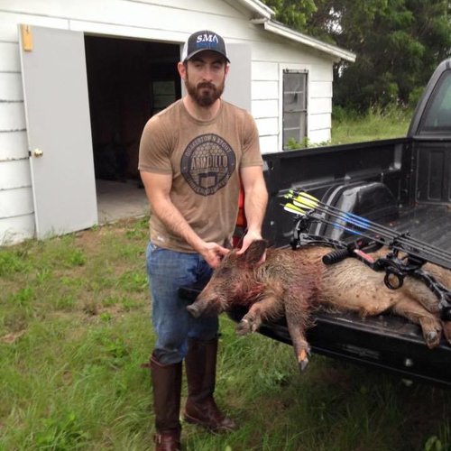 pig1.jpg pig1.jpg