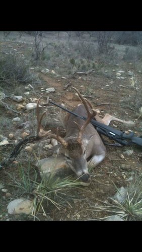 2011 Deer.jpg