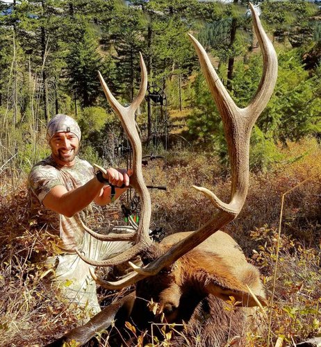 ELK_'16_P.jpg ELK_'16_P.jpg