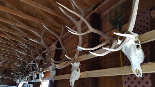 20151111_142359.jpg 20151111_142359.jpg