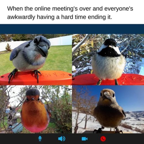 HKZlKsCaEAAa_xb.jpeg