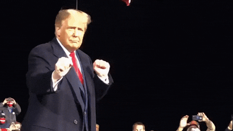1781208645274.gif 1781208645274.gif