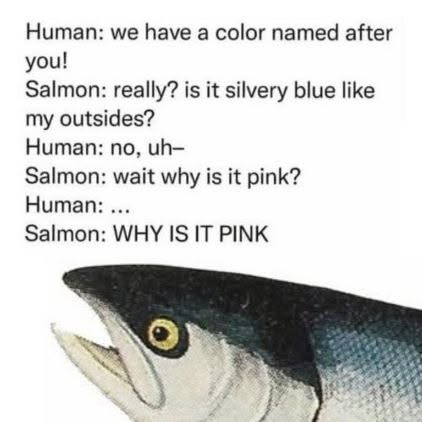 1781443843445.png