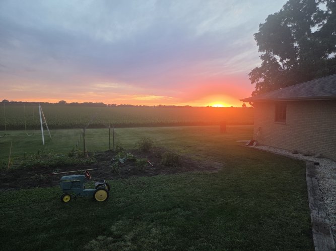 20260615_203123.jpg