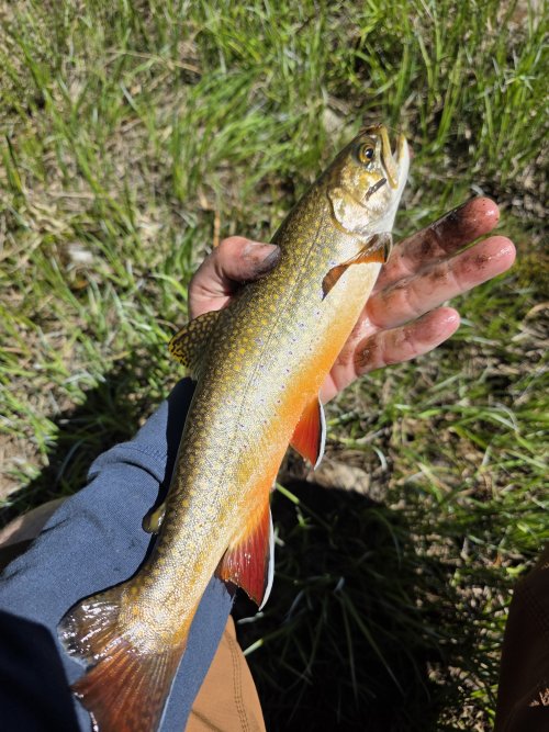 20260618_102556.jpg