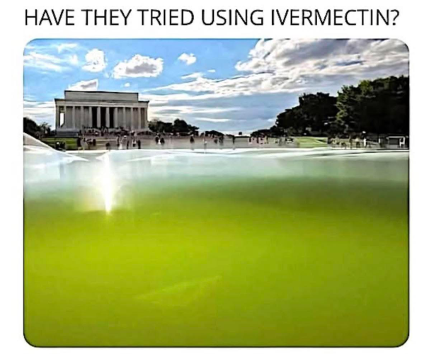 1781913628502.png