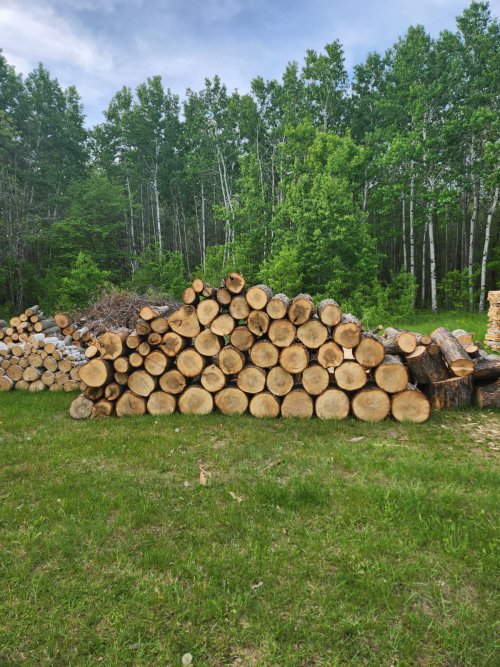 wood.jpeg