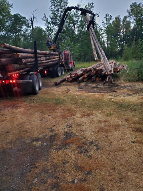 Mattice unloading winter warmth.jpg Mattice unloading winter warmth.jpg