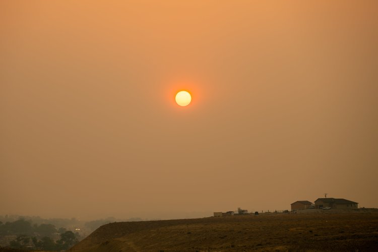 DSC_3826.jpg