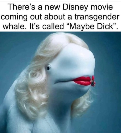 1000027664.jpg