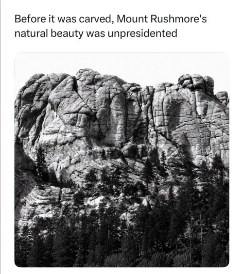 rushmore.jpg