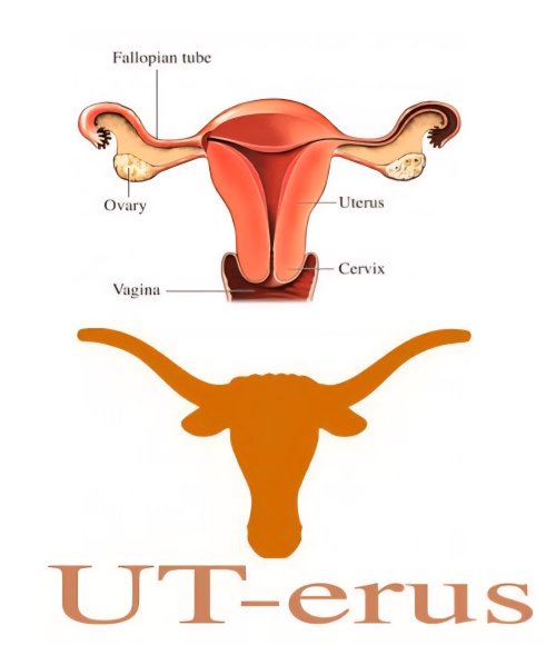 just-a-reminder-that-texas-logo-looks-like-a-uterus-v0-_e8picrkxx8jnvCcwaOxPmofYd1ghz5ANml14GV...jpg just-a-reminder-that-texas-logo-looks-like-a-uterus-v0-_e8picrkxx8jnvCcwaOxPmofYd1ghz5ANml14GV...jpg