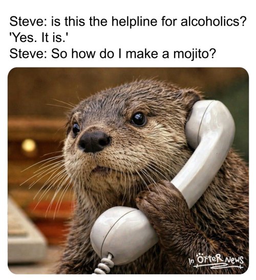 SJ60ZT1.jpeg