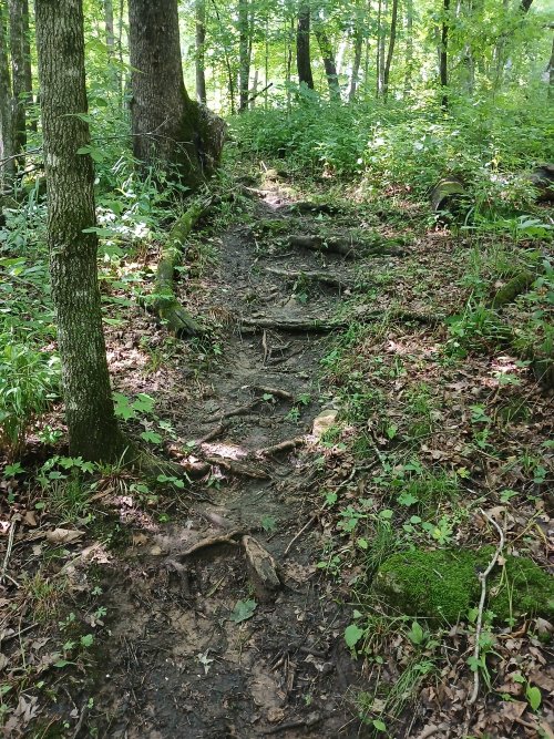 20260704_151435.jpg