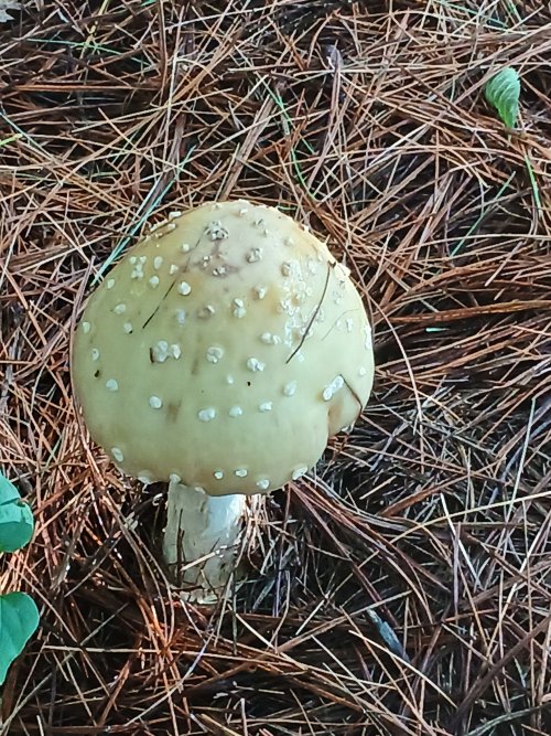 20260705_104020.jpg