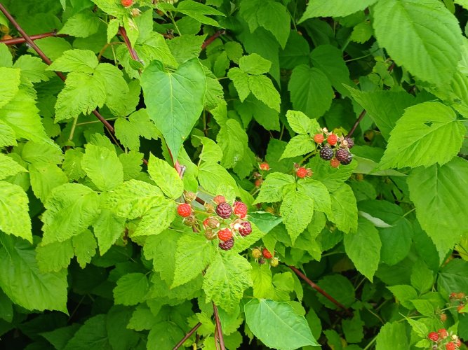 20260626_153137.jpg