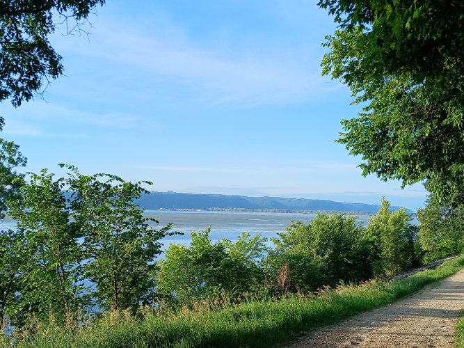 20260627_063723.jpg
