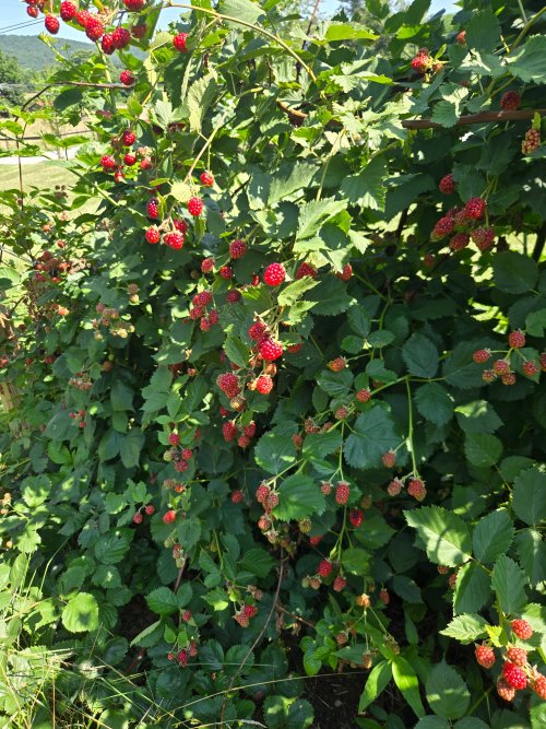 20260713_104436.jpg