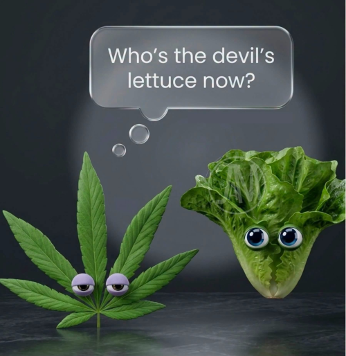 1784210270695.png
