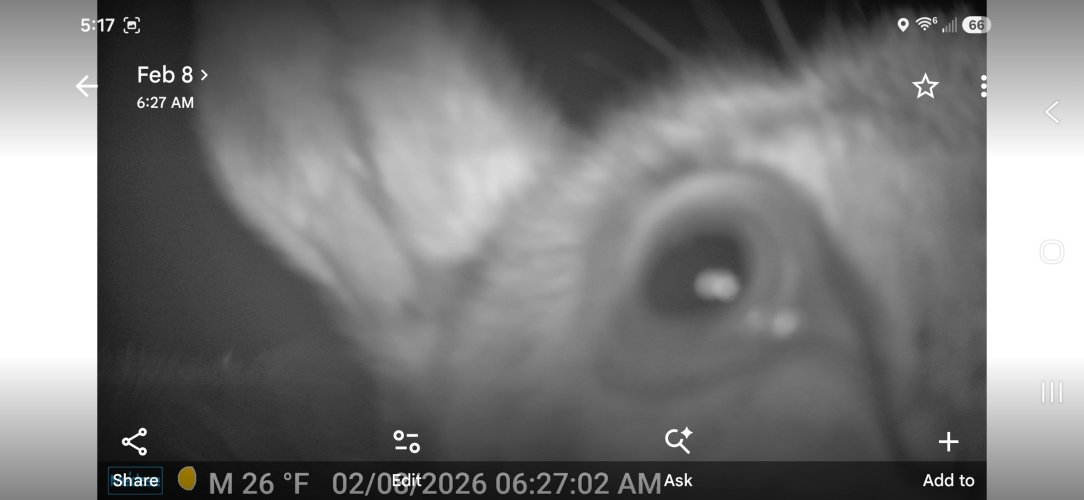 Screenshot_20260621_171730_Photos.jpg