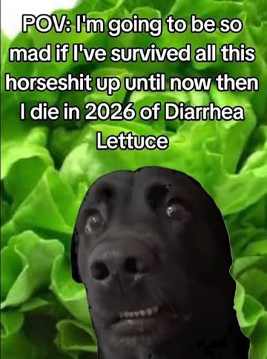 1784311125659.png