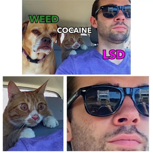 1784368407530.png