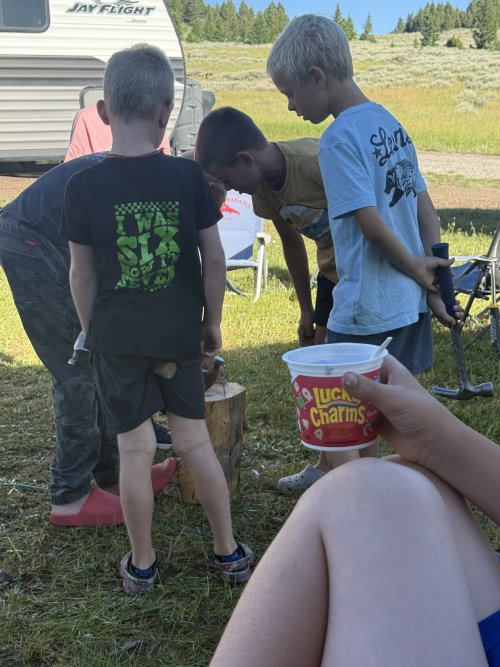 IMG_3416.jpeg