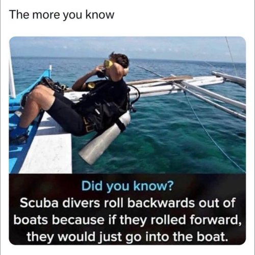 FB_IMG_1784486998338.jpg
