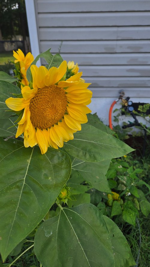 20260721_075920.jpg