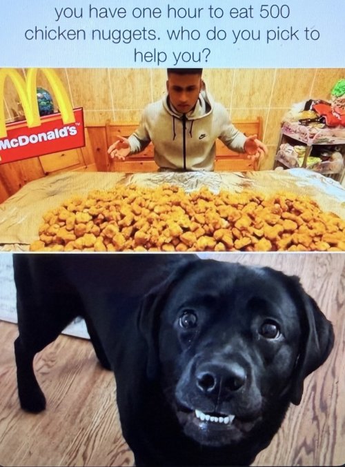 1000028406.jpg