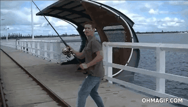 IMG_3635.gif