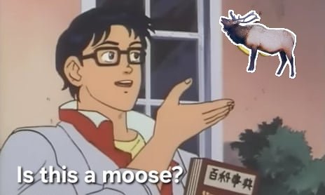 1000026499.jpg