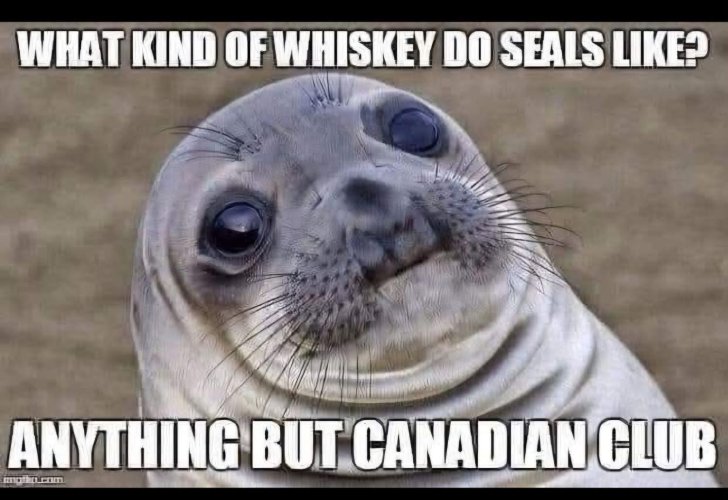 FB_IMG_1785084370241.jpg
