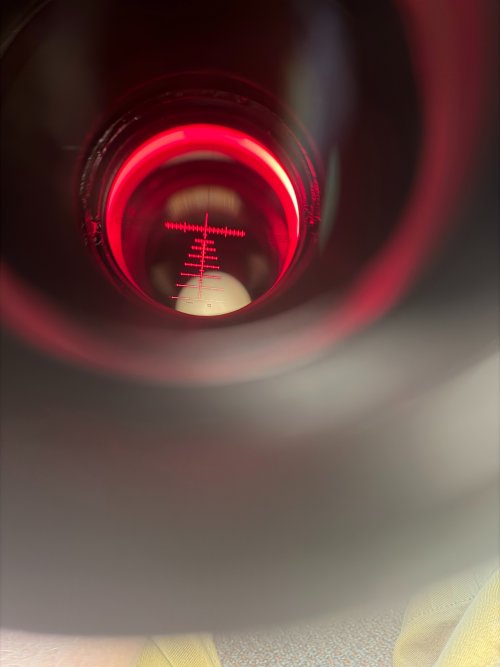 IMG_0839 2 copy.jpg