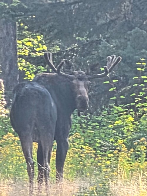 20260801_092350.jpg