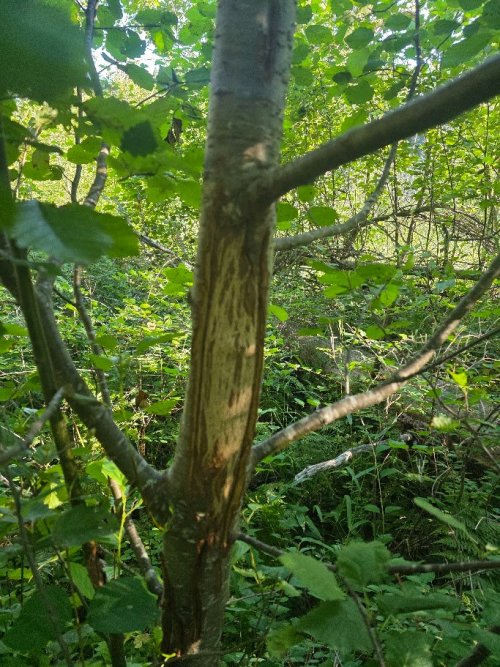 20260802_083509.jpg