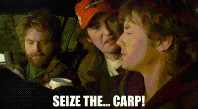 1d9cac82-0e06-414c-b7e4-8d1c4ff04035_text.gif