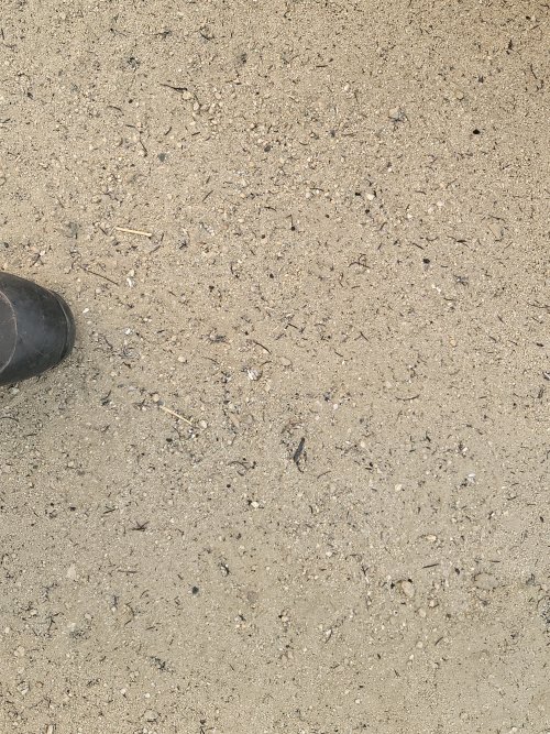 20260808_091101.jpg