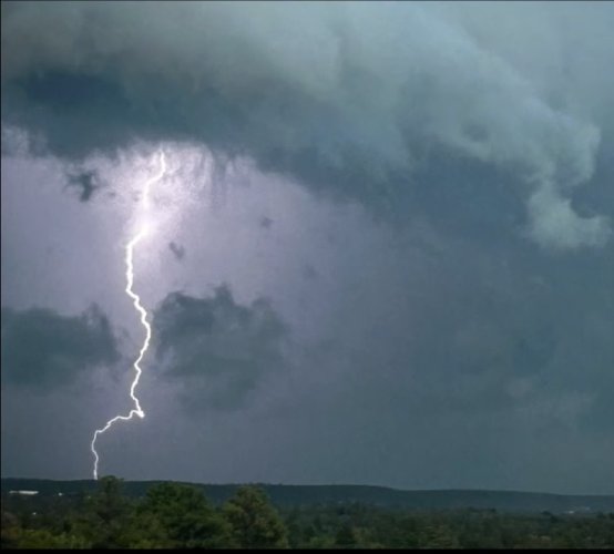 IMG_7739.jpeg