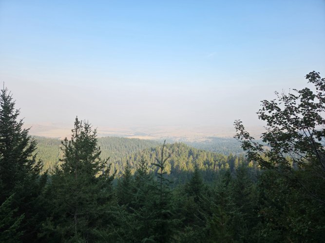 20260809_083248.jpg