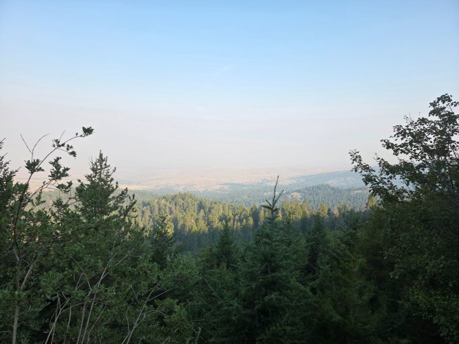 20260809_083314.jpg