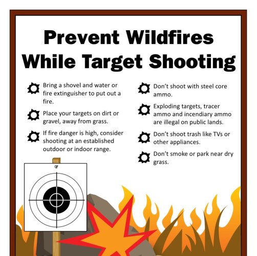 targetshootingplain.jpg