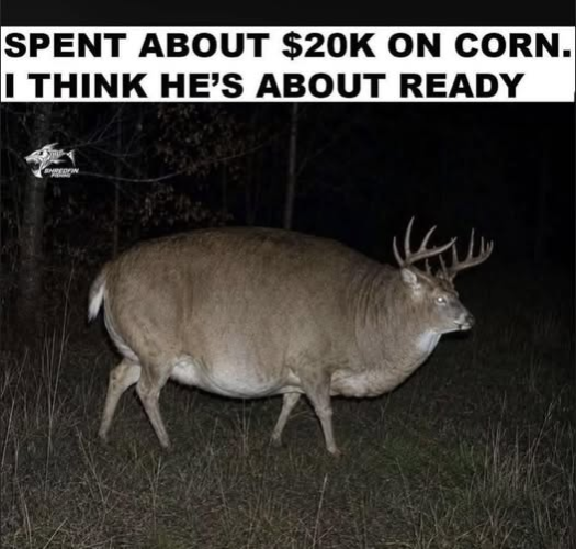 1786370288418.png