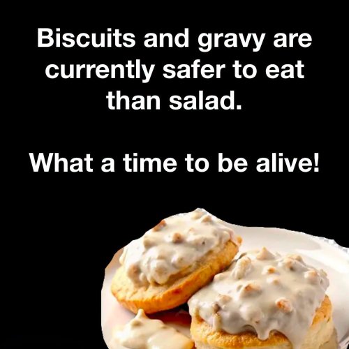 food.jpg