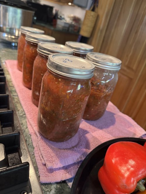 Smoked salsa2.jpeg