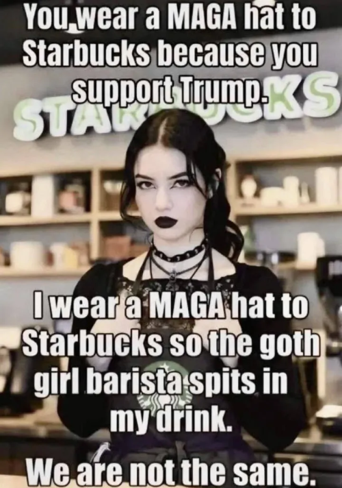 1786547907687.png