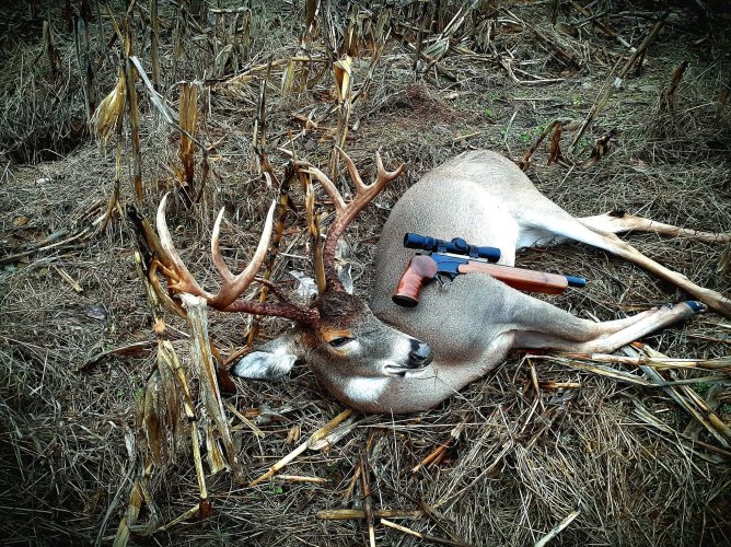 10pt.jpg