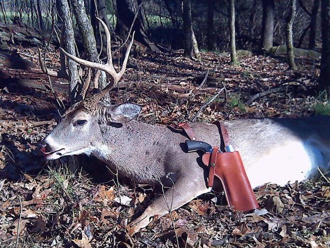 9pt 44 buck.jpg