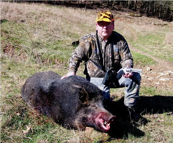 hog.jpg
